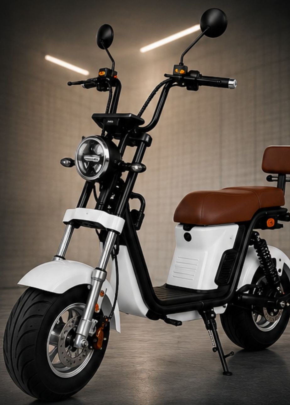 Scooter X13 Plus 1000W — scooter elétrica GO Scooter